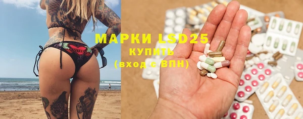 хмурый Бородино