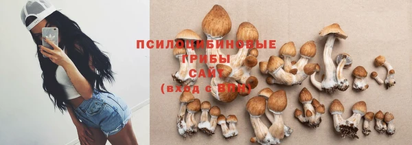соль ск Бугульма