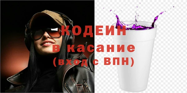 хмурый Бородино