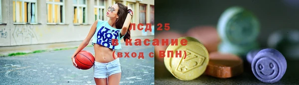 хмурый Бородино