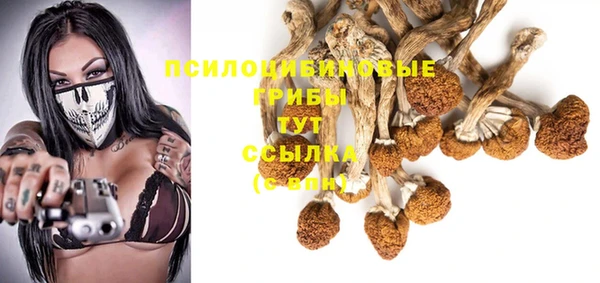 хмурый Бородино