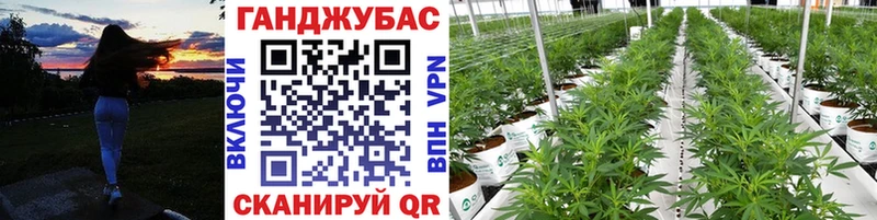 Купить закладки  Нижняя Тура  Марихуана LSD WEED 